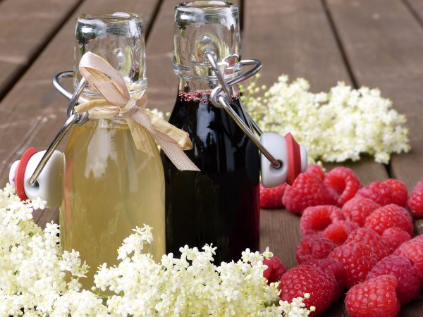 How to make a medicinal herbal syrup, part 1: the basics
