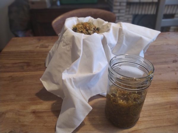 Making a medicinal herbal oil infusion using dried plants