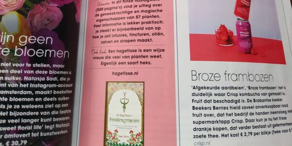 Herbal Grimoire in Happinez Magazine image